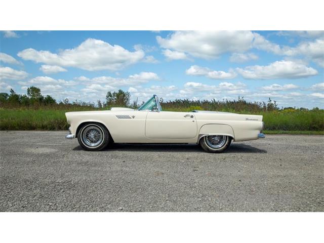 1955 Ford Thunderbird (CC-1900940) for sale in Dripping Springs, Texas