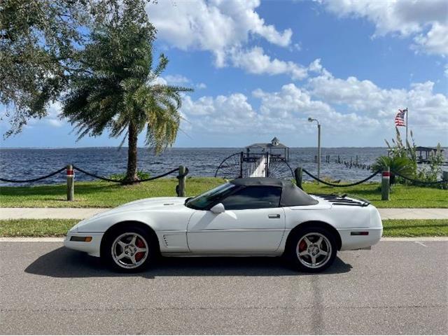 1993 Chevrolet Corvette (CC-1909650) for sale in Cadillac, Michigan