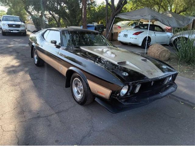 1973 Ford Mustang (CC-1909677) for sale in Cadillac, Michigan