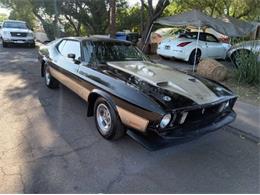 1973 Ford Mustang (CC-1909677) for sale in Cadillac, Michigan