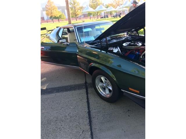 1971 Ford Mustang (CC-1909904) for sale in Cadillac, Michigan