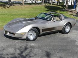 1982 Chevrolet Corvette (CC-1909922) for sale in Palmetto, Florida