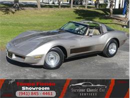 1982 Chevrolet Corvette (CC-1909922) for sale in Palmetto, Florida