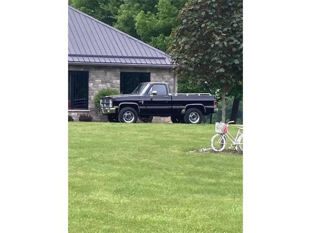 1985 Chevrolet K-10 (CC-1909931) for sale in Cadillac, Michigan