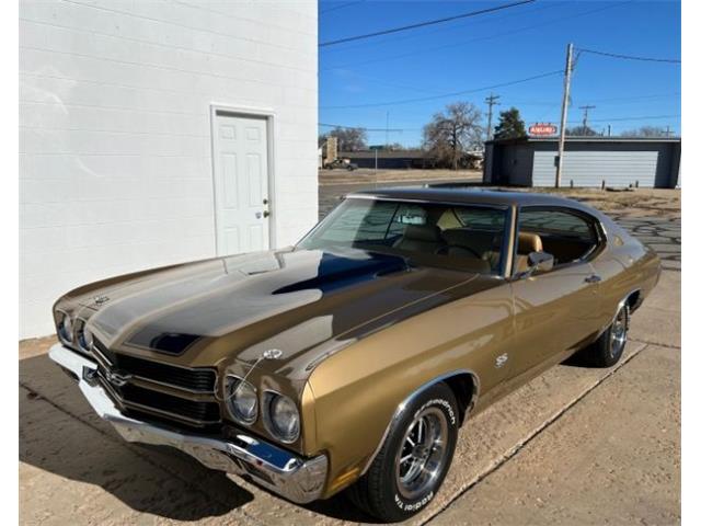 1970 Chevrolet Chevelle (CC-1911015) for sale in Cadillac, Michigan