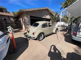 1969 Volkswagen Beetle (CC-1910143) for sale in Cadillac, Michigan