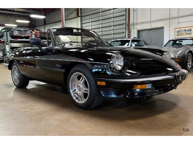 1986 Alfa Romeo Spider (CC-1911561) for sale in Chicago, Illinois