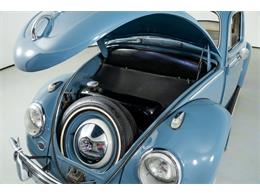 1959 Volkswagen Beetle (CC-1910185) for sale in St. Charles, Missouri