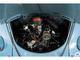1959 Volkswagen Beetle (CC-1910185) for sale in St. Charles, Missouri