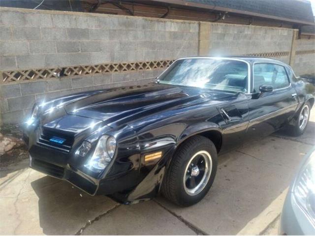 1980 Chevrolet Camaro (CC-1911868) for sale in Cadillac, Michigan