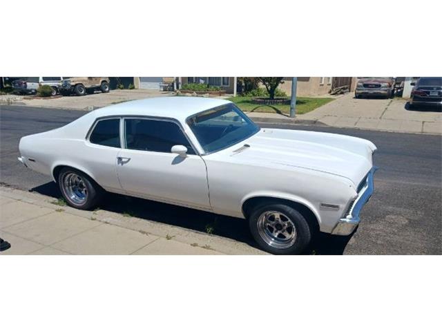 1973 Chevrolet Nova (CC-1912207) for sale in Cadillac, Michigan