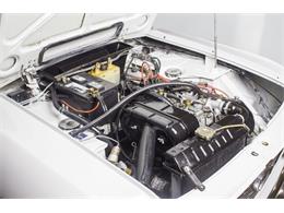 1967 Lancia Fulvia (CC-1912479) for sale in Rockville, Maryland