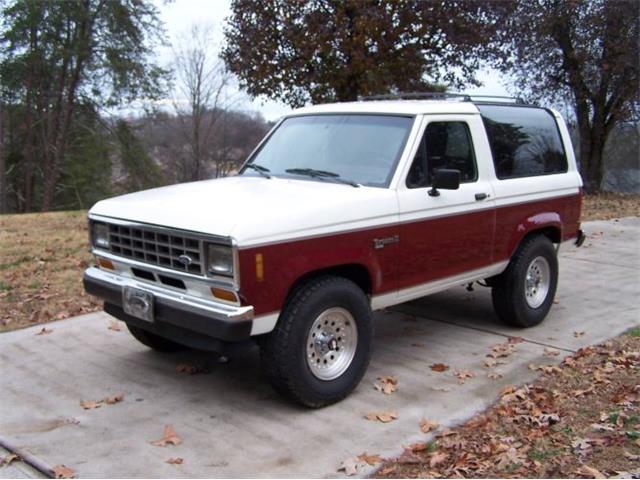 1988 Ford Bronco (CC-1912564) for sale in Cadillac, Michigan