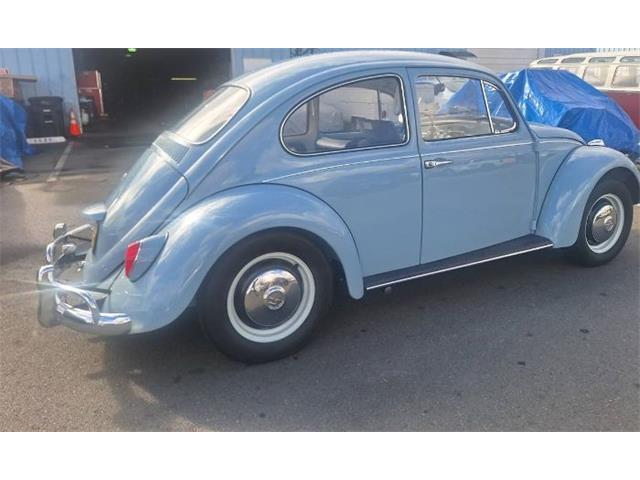 1967 Volkswagen Beetle (CC-1912575) for sale in Cadillac, Michigan