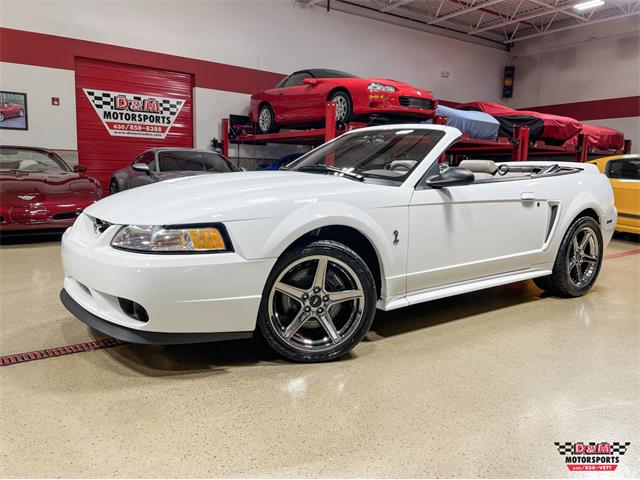 1999 Ford Mustang SVT Cobra (CC-1912601) for sale in Glen Ellyn, Illinois