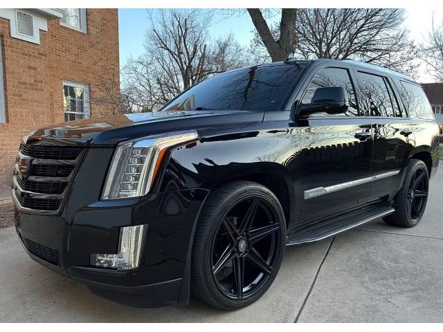 2018 Cadillac Escalade (CC-1912963) for sale in Cadillac, Michigan