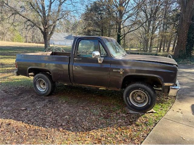 1985 Chevrolet K-10 (CC-1913485) for sale in Cadillac, Michigan