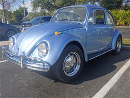 1967 Volkswagen Beetle (CC-1913560) for sale in JUPITER, Florida