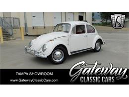 1966 Volkswagen Beetle (CC-1913597) for sale in O'Fallon, Illinois