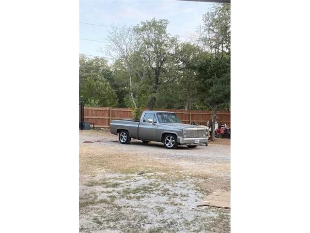 1983 Chevrolet C10 (CC-1910371) for sale in Cadillac, Michigan