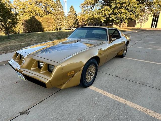 1979 Pontiac Firebird (CC-1910388) for sale in Cadillac, Michigan