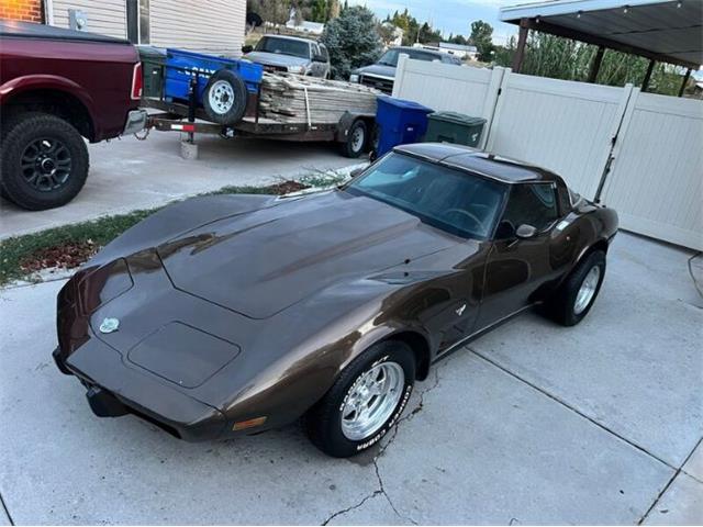 1978 Chevrolet Corvette (CC-1913898) for sale in Cadillac, Michigan