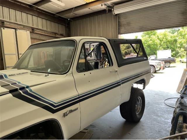 1987 Chevrolet Blazer (CC-1913900) for sale in Cadillac, Michigan