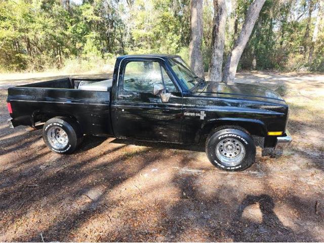 1987 Chevrolet Custom (CC-1913914) for sale in Cadillac, Michigan