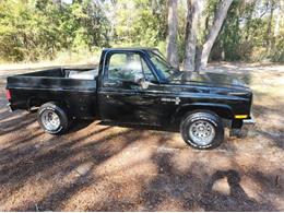 1987 Chevrolet Custom (CC-1913914) for sale in Cadillac, Michigan