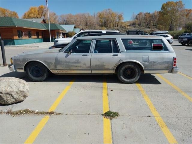 1983 Chevrolet Caprice (CC-1914052) for sale in Cadillac, Michigan