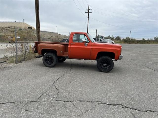 1976 Chevrolet Pickup (CC-1914077) for sale in Cadillac, Michigan