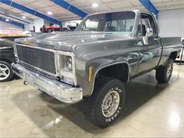 1979 Chevrolet 1500 (CC-1914241) for sale in Salem, Ohio