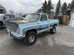 1978 Chevrolet K-10 (CC-1914380) for sale in Oakwood, Ontario