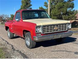 1973 Chevrolet C10 (CC-1914761) for sale in Cadillac, Michigan