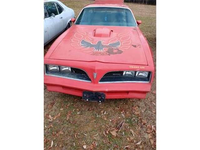 1977 Pontiac Firebird Trans Am (CC-1914773) for sale in Cadillac, Michigan