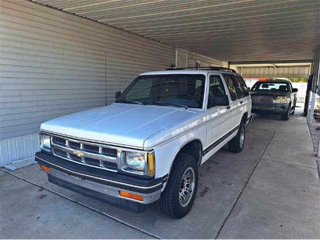 1993 Chevrolet Blazer (CC-1914792) for sale in Cadillac, Michigan