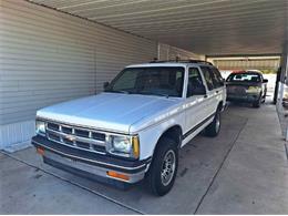 1993 Chevrolet Blazer (CC-1914792) for sale in Cadillac, Michigan