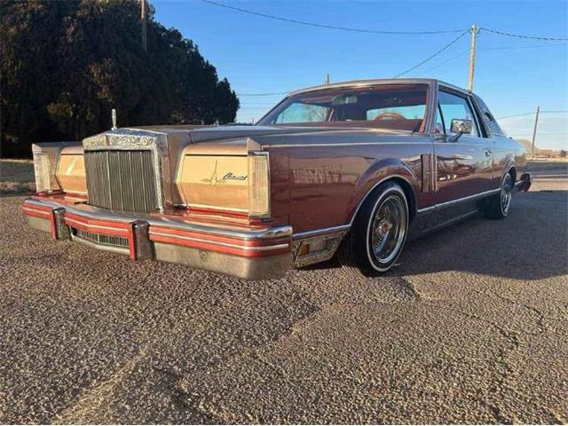 1980 Lincoln Continental (CC-1914794) for sale in Cadillac, Michigan