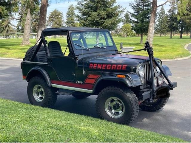 1982 Jeep CJ5 (CC-1914977) for sale in Cadillac, Michigan