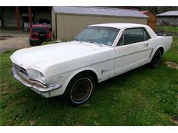 1965 Ford Mustang (CC-1914985) for sale in Cadillac, Michigan