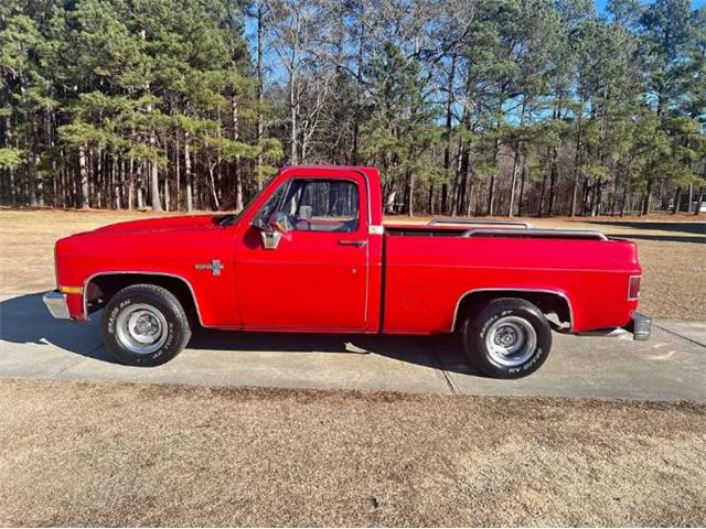 1984 Chevrolet C10 (CC-1915000) for sale in Cadillac, Michigan