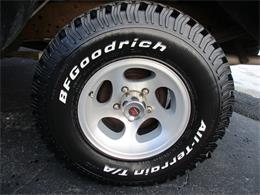 1991 Ford F-150 Nite (CC-1915351) for sale in STERLING, Illinois