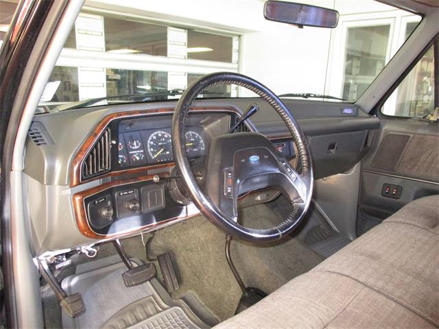 1991 Ford F-150 Nite (CC-1915351) for sale in STERLING, Illinois