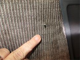 1991 Ford F-150 Nite (CC-1915351) for sale in STERLING, Illinois