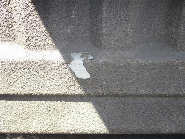 1991 Ford F-150 Nite (CC-1915351) for sale in STERLING, Illinois