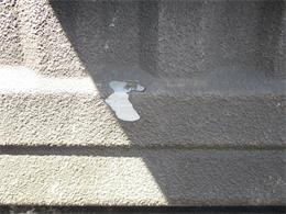 1991 Ford F-150 Nite (CC-1915351) for sale in STERLING, Illinois