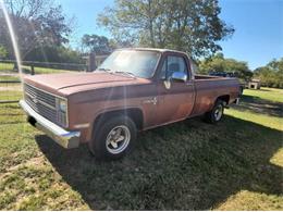 1982 Chevrolet 1500 (CC-1915482) for sale in Cadillac, Michigan