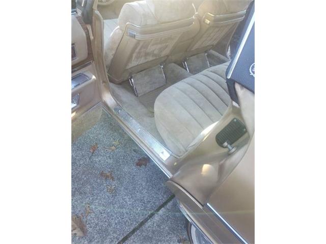 1973 Cadillac Fleetwood (CC-1915499) for sale in Cadillac, Michigan