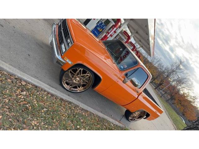 1981 Chevrolet C10 (CC-1915511) for sale in Cadillac, Michigan