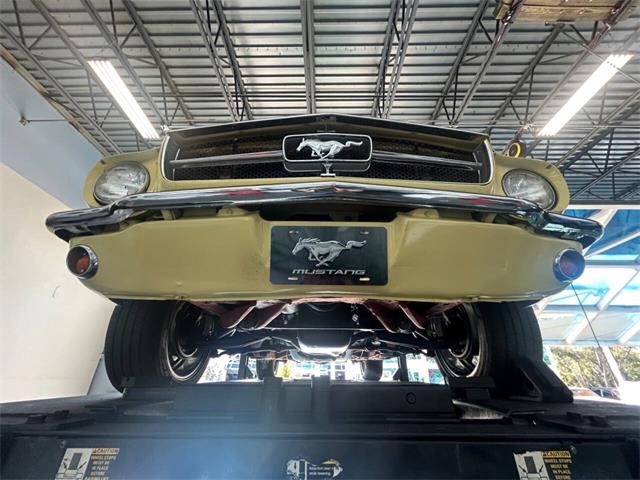 1965 Ford Mustang (CC-1915541) for sale in Bradenton, Florida